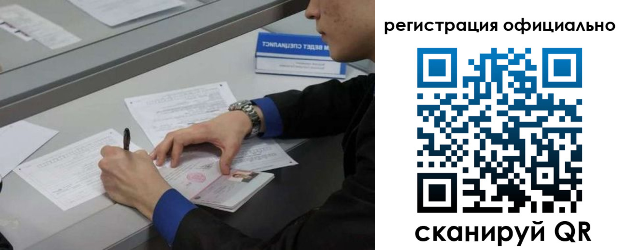 где прописаться в Кольчугино